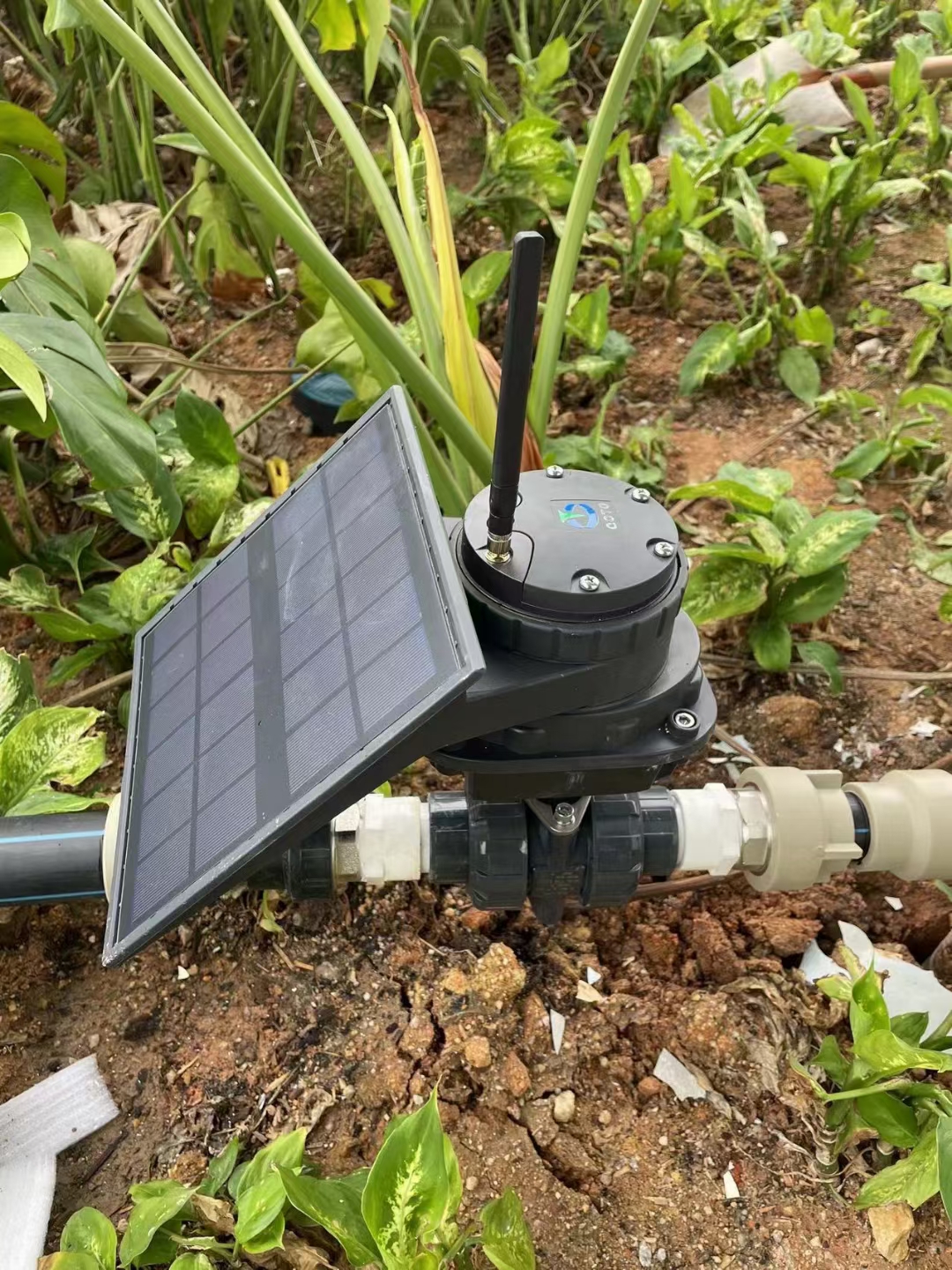 Sistema de irrigação movido a energia solar IoT/LoRa/4G para abacateiros